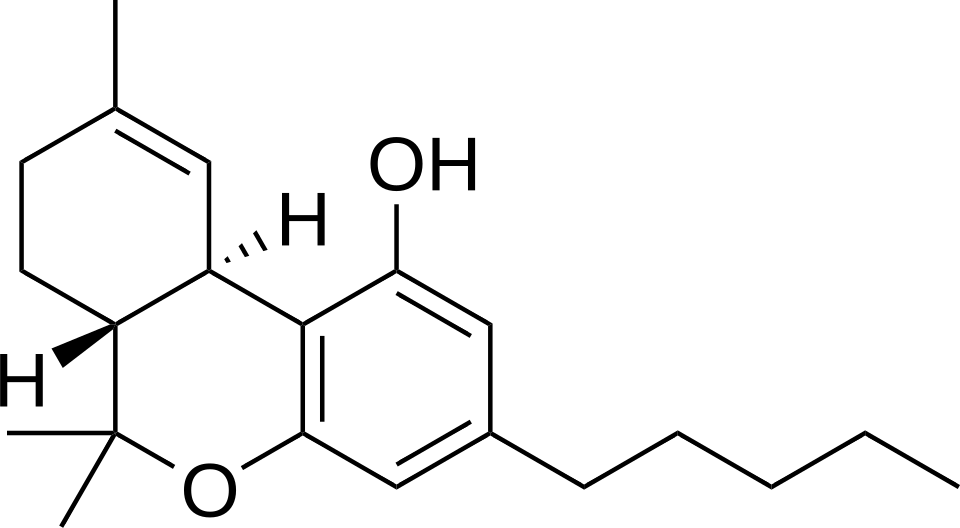 Two-dimensional structural formula of delta-9-tetrahydrocannabinol, also called THC.